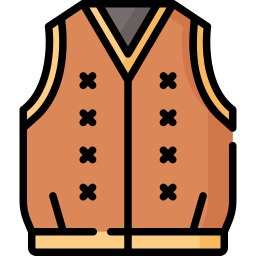 Vest Special Lineal color icon