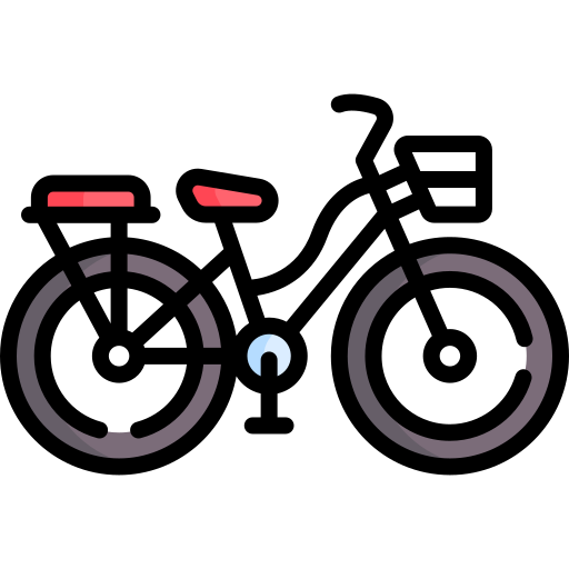 Bicycle Special Lineal color icon