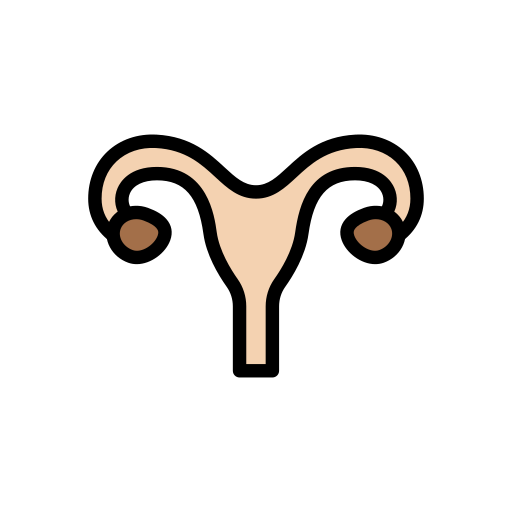 Uterus Vector Stall Lineal Color icon