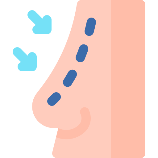 Rhinoplasty Basic Rounded Flat icon