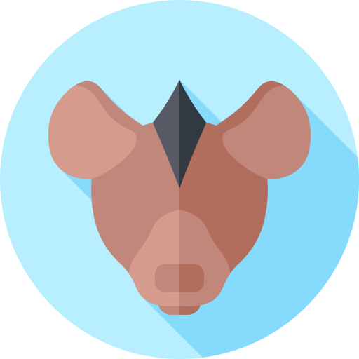 hiena Flat Circular Flat ikona
