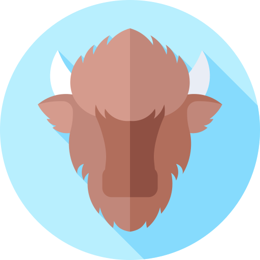 bizon Flat Circular Flat icoon