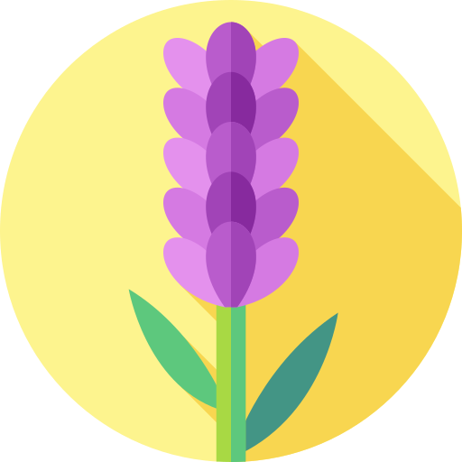 lavendel Flat Circular Flat icoon