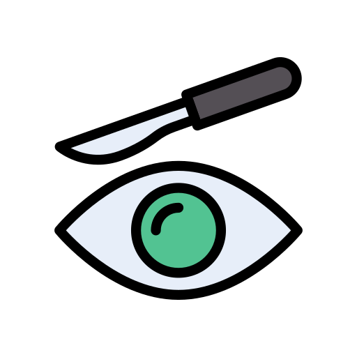Eye Vector Stall Lineal Color icon