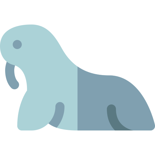 바다 코끼리 Basic Rounded Flat icon