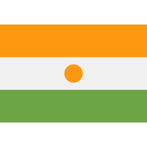 niger Flags Rectangular Icône