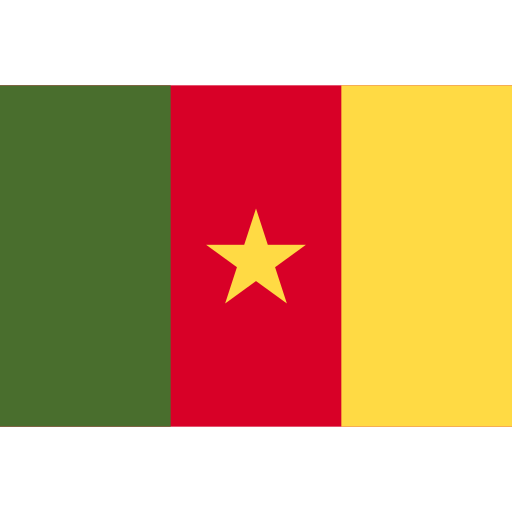 camerun Flags Rectangular icona