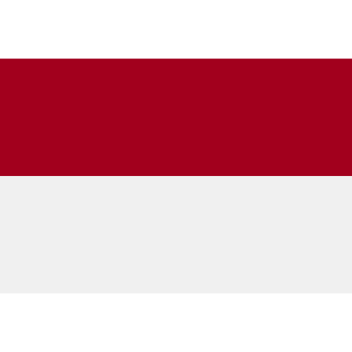 indonezja Flags Rectangular ikona