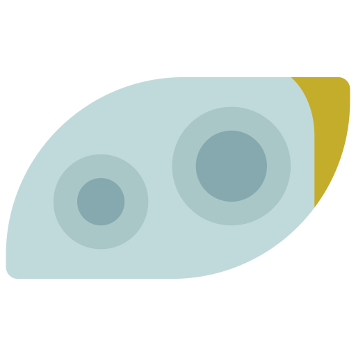 Headlights Juicy Fish Flat icon