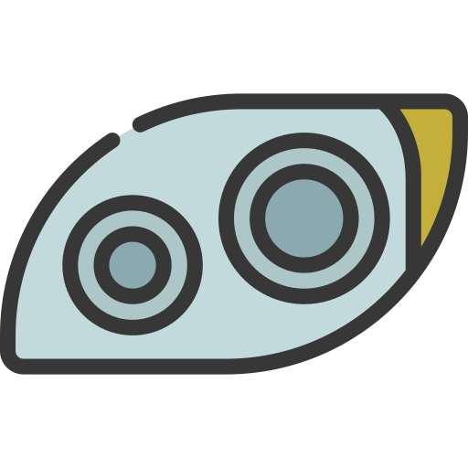 Headlights Juicy Fish Soft-fill icon