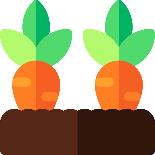 Морковь Basic Rounded Flat иконка