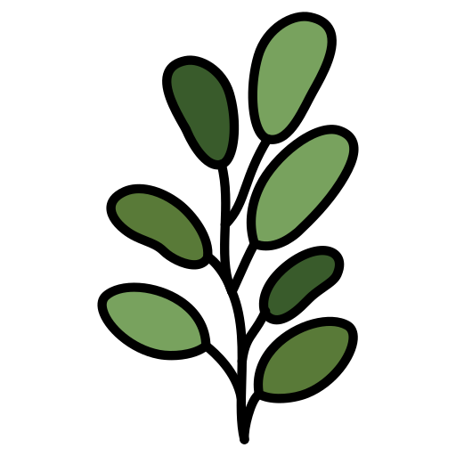 Ficus Generic Outline Color icon