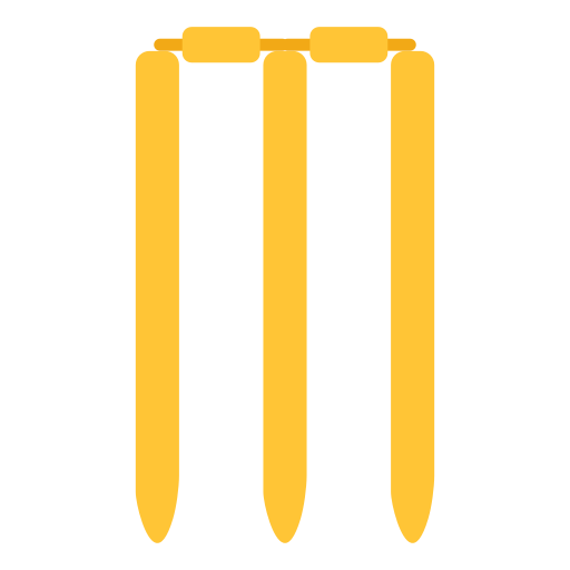 wicket Generic Flat icon