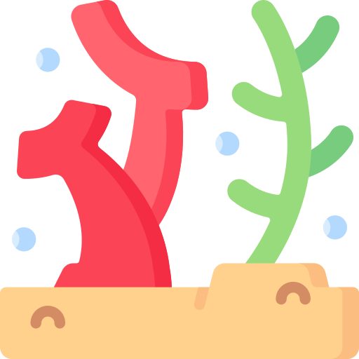 koralle Special Flat icon