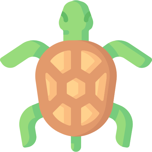 Sea turtle Special Flat icon