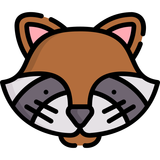 Raccoon Special Lineal color icon