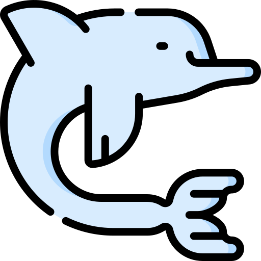 Dolphin Special Lineal color icon