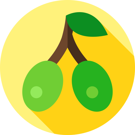 올리브 Flat Circular Flat icon
