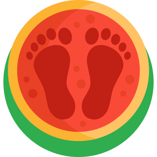 bodhu boor Detailed Flat Circular Flat icoon