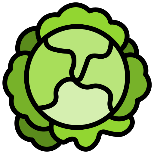 Cauliflower Surang Lineal Color icon