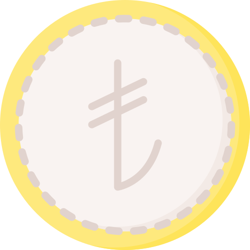 lira Special Flat icon