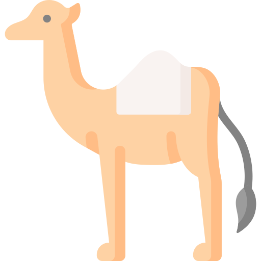Camel Special Flat icon
