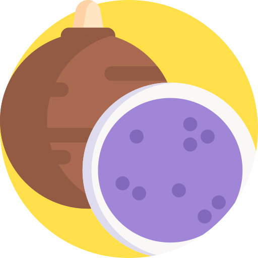 Taro Detailed Flat Circular Flat icon