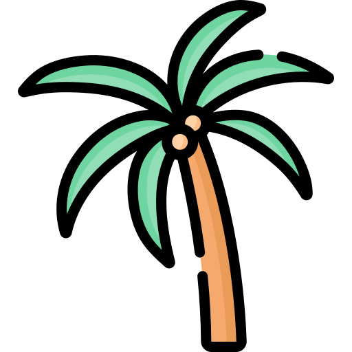 Palm Special Lineal color icon