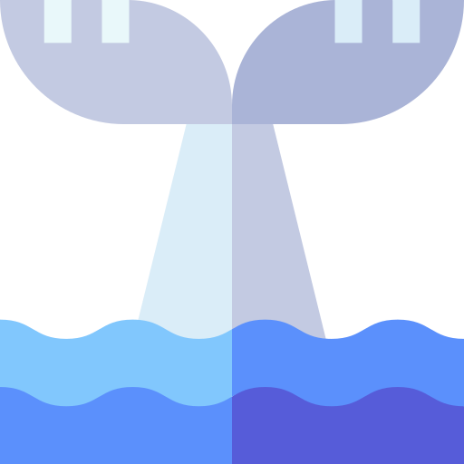 ballena Basic Straight Flat icono