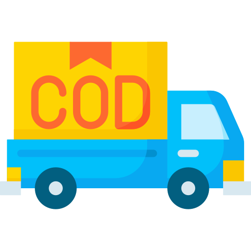 Cash on delivery Special Flat icon