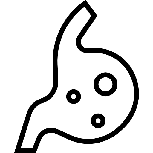 Żołądek Prosymbols Lineal ikona