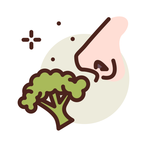 brócoli Darius Dan Lineal Color icono