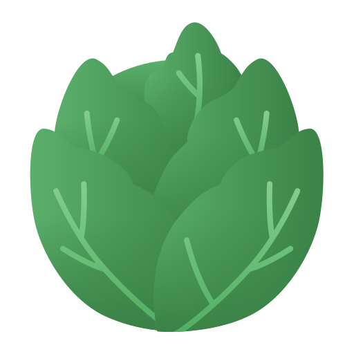 Cabbage Generic Flat Gradient icon