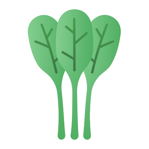 Spinach Generic Flat Gradient icon