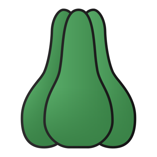 chayote Generic Outline Gradient icon