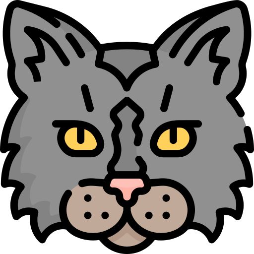 gato Special Lineal color icono