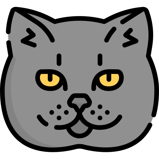 Cat Special Lineal color icon