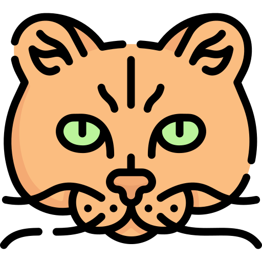 Cat Special Lineal color icon