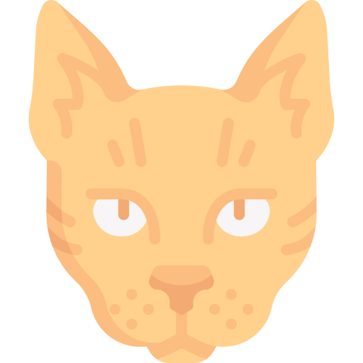 Кот Special Flat иконка