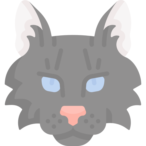 Cat Special Flat icon