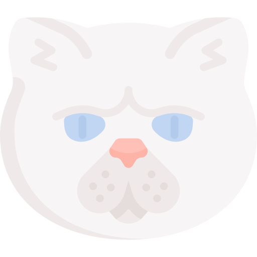 고양이 Special Flat icon