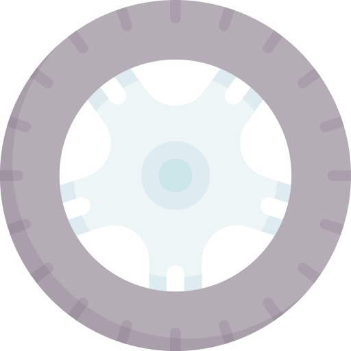 Wheel Special Flat icon