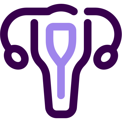 Uterus Generic Others icon