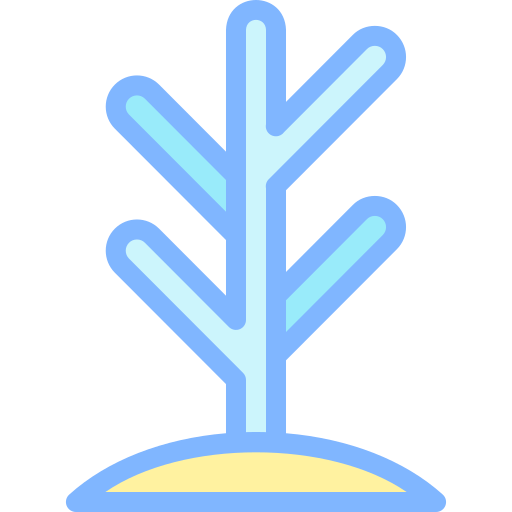 산호 Detailed color Lineal color icon