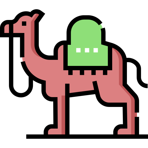wielbłąd Detailed Straight Lineal color ikona