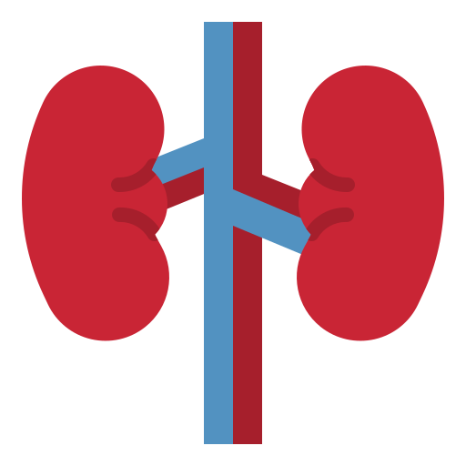 Kidney photo3idea_studio Flat icon