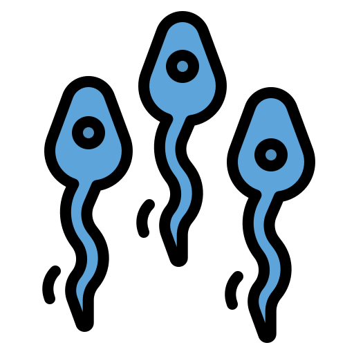 Sperm photo3idea_studio Lineal Color icon