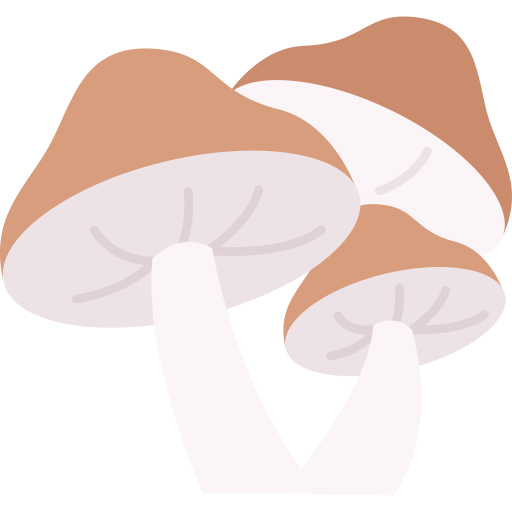 champiñón Generic Flat icono