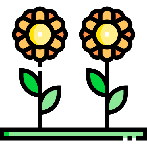 zonnebloem Detailed Straight Lineal color icoon