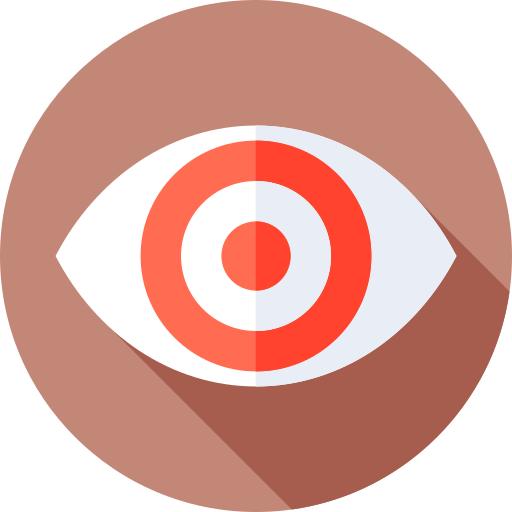 Vision Flat Circular Flat icon